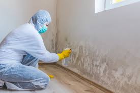 Mold Documentation for Insurance Claims in Golden, CO