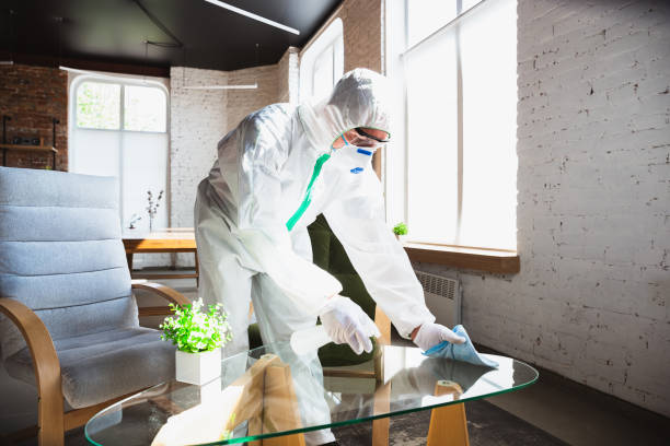 Best Mold Odor Removal Services  in Golden, CO